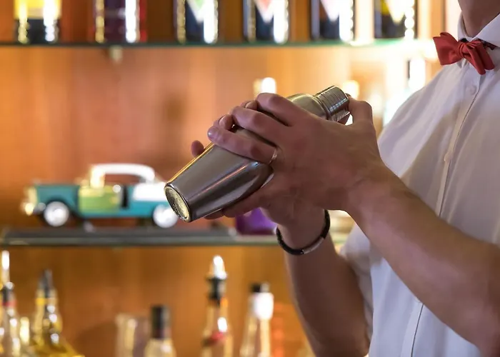 호텔 Centrovital 4*