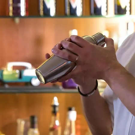 מלון Centrovital 4*